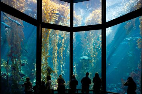 metal lunch box sold at monterey bay aquarium|monterey bay aquarium online shop.